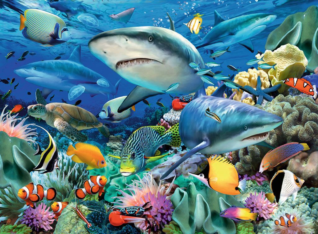 Ravensburger 4049817654408