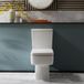 Hudson Reed Toilet Duoblok Moderne avec Bouton de Chasse Noir et Abattant WC Soft-Close | 37 x 61cm
