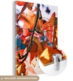 MuchoWow® Glass Painting 30x40 cm - Acrylic Glass Painting - Maple - Leaves - Rural - Autumn - Photo on Glass - Paintings