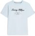 Tommy Hilfiger T-shirt en Coton à manches courtes pour homme M Breezy Blue