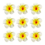 Namzi 100 stuks kunstmatige plumeria frangipani-bloem, drijvende bloemen voor zwembad, Hawaiiaanse bloemen middelpunt, kunstmatige witte schuim plumeria, bloemblaadjeshoed hoofd doe-het-zelf thuis