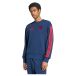 Arsenal Sweatshirt DNA