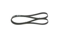 BOSCH Keilrippenriemen 1987946035