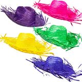 Boland Chapeau Hawaïen tropical