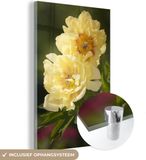 MuchoWow® Glass Painting 100x150 cm - Acrylic Glass Painting - Two Yellow Peonies - Photo on Glass - Paintings