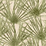 Herbarium - Vliesbehang - Palm Bladeren - Groen - Beige - 10,05 x 0,53 M.