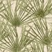 Herbarium - Vliesbehang - Palm Bladeren - Groen - Beige - 10,05 x 0,53 M.
