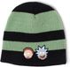 Difuzed Rick & Morty - Striped Beanie