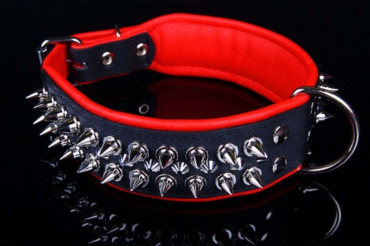 Dog's Companion Leren Halsband - met spikes - Zwart/Rood - 51-60 cm x 50 mm