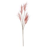 House of Seasons Pluimgras losse steel/tak - oudroze - 98 cm