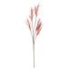 House of Seasons Pluimgras losse steel/tak - oudroze - 98 cm