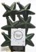 Decoris kersthangers - 6 stuks - 7.5cm - kunststof - mix