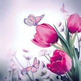 Ambiente Lunch servetten Butterfly & Tulips
