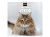 Finocam - Kalender met afbeeldingen wandformaat 2024 januari 2024 - december 2024 (12 maanden) Cats internationaal
