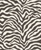 Noordwand Zebraprint Behang Dieren Vliesbehang Wandbekleding Natural FX 0,53 x 10,05 M