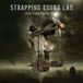 PIAS Nederland Strapping Young Lad - 1994–2006 Chaos Years (2 LP)