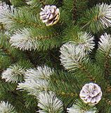 Triumph Tree Kunstkerstboom Pittsburgh - 124x124x230 cm - PVC - Groen