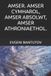 AMSER. Wells. Damcaniaeth Y Glec Fawr. Mater Tywyll. Ynni Tywyll.- Amser. Amser Cymharol, Amser Absolwt, Amser Athroniaethol.