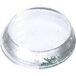 3M 7000001952 Pied d'appareil Rond Transparent (l x h) 19 mm x 4 mm 1 pièce(s)