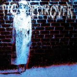 Book Pig Destroyer - Book Burner