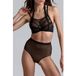 Marlies Dekkers Flash Dance Sheer Black Polka Dot Push Up Bra