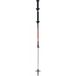 Bâtons TSL Move Carbon/Alu 2 - Swing