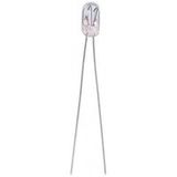 Barthelme 21109123 Lampe à incandescence 12 V 0.36 W T1 Claire 1 pièce(s)