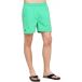 Arena Zwemshort Fundamentals Logo Golf Green/Royal/White Mannen XXL