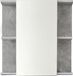 trendteam smart living Badkamer spiegelkast spiegel Nano, 60 x 62 x 20 cm in beton Stone melamine zonder verlichting