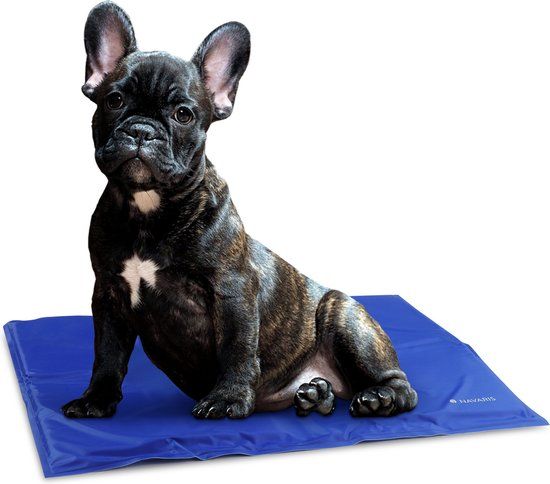 Navaris Koelmat voor Honden en Katten - 40 x 50 cm - Blauw