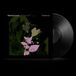 Belladonna Warner Music Group Belladonna Nocturne