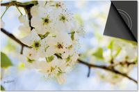 Dietrix Inductie Beschermer - 65x52cm - Bloemen en Planten - Witte Bloesem