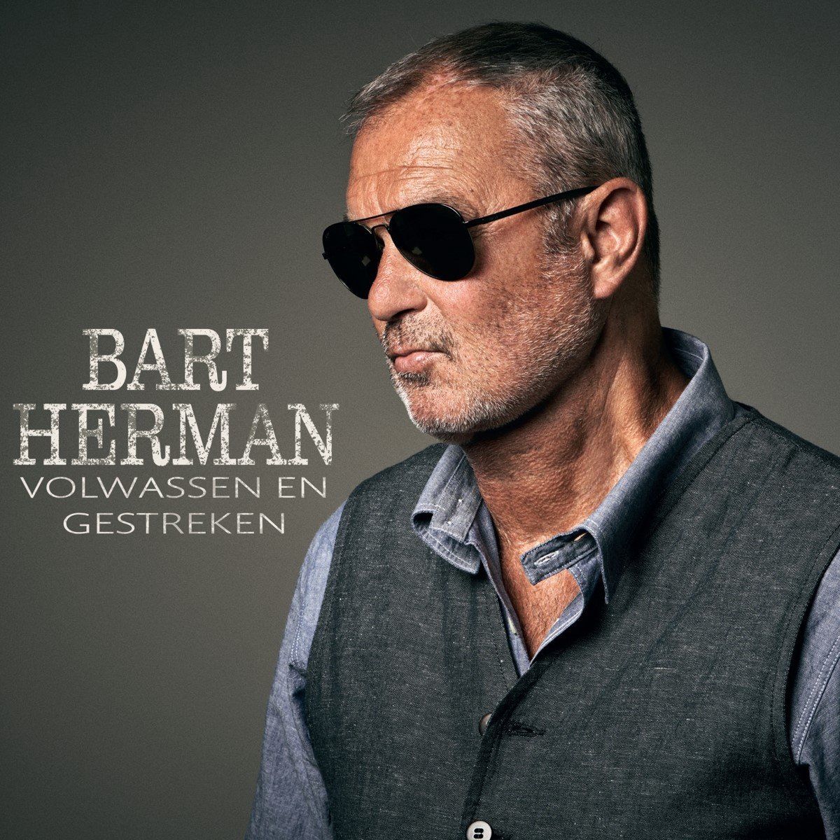 HEARTSELLING Volwassen En Gestreken (CD)