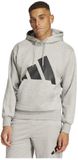 Adidas Essentials Big Logo Fleece Hoodie Grijs L Man