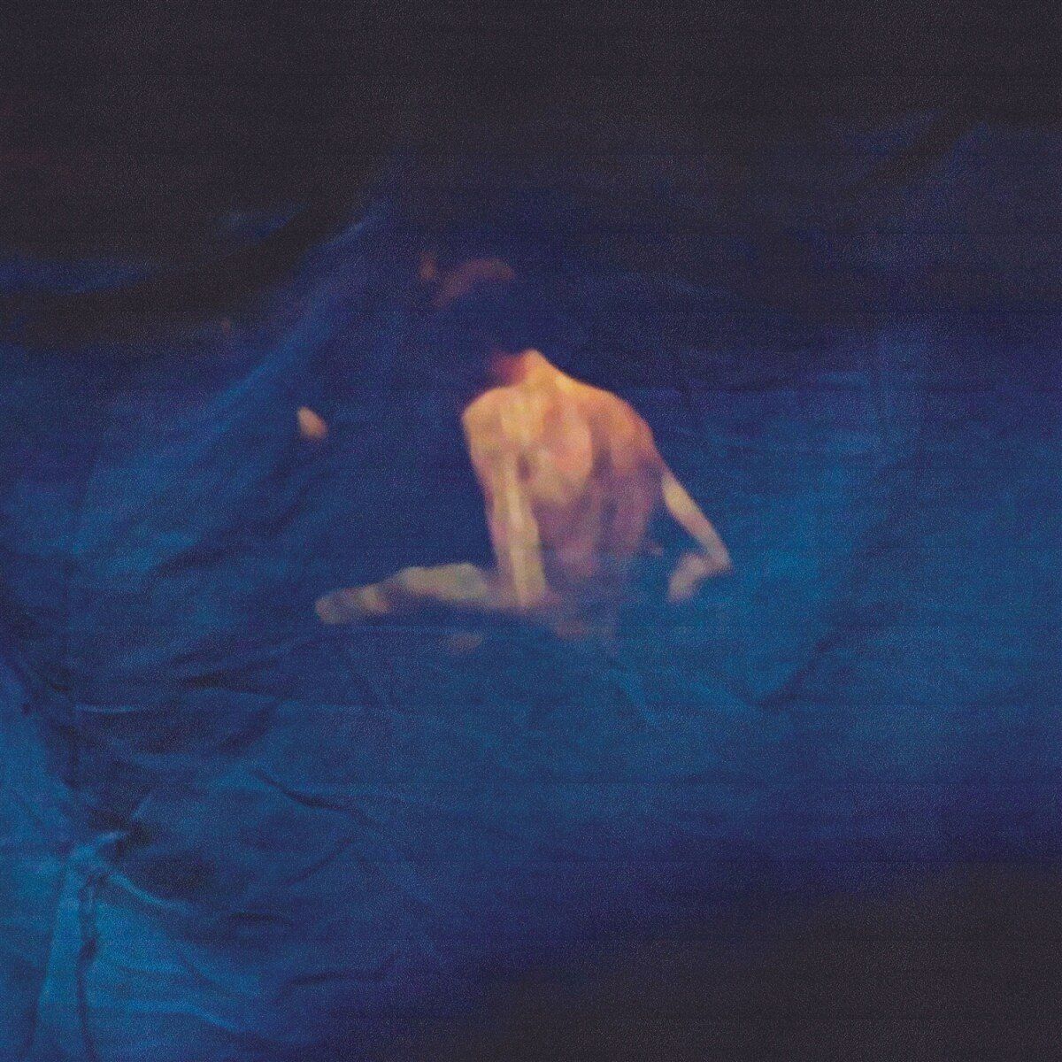 PIAS Nederland Blue Luminaire - Terroir (CD)