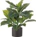Mica Decorations Kunstplant Aroskelk - groen - H49 cm - in keramiek bloempot - antraciet