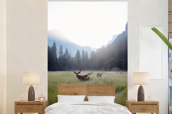 Nr1Wallpaper Behang - Fotobehang Bos - Hert - Mist - Breedte 170 cm x hoogte 260 cm