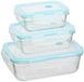 5Five Vershoudbakjes met deksel - glas - set 3x stuks - 1180/540/330 ml - luchtdicht - met clips