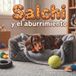 Salchi y el aburrimiento