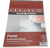 Daler Rowney Ingres 160 g/m² 12 x 22 inch pastel papier spiraal pad, gelegd textuur, 6 verschillende kleuren, 24 vellen, ideaal voor professionele kunstenaars