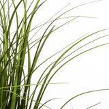 ATMOSPHERA CREATEUR D'INTERIEUR Siergras AKINA Kunstplant in pot - Groen - H58 cm