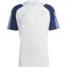 Ajax Amsterdam Tiro 2023 Maillot d'entraînement