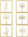 Unyqoos® Set van 6 gouden metalen wanddecoraties met bloemenmotief