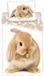 Animal Pictures Dekbedovertrek Konijn Eenpersoons 140 x 200 cm Multi