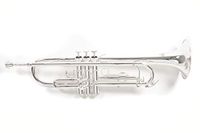 Roy Benson Bb Trompet MOD.TR-202S versilbert