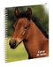 Exacompta - 999163E - Dierenschrift - Omslag met metalen spiraal en afneembare weektabbladen - 17 cm x 22 cm - Visueel paard