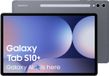 Samsung S10 Plus / WiFi / 256GB / Grijs