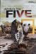 Megamoviestore Afrika's Big Five DVD