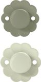 Suavinex Wonder Reversible Duo Aqua/Green 6-18m 2 stuks Silicone Fopspenen SXSWP2084468