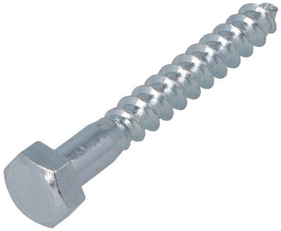 Hoenderdaal Fasteners Hoenderdaal Houtdraadbouten - DIN571 Zeskant - M10 x 55mm - Verzinkt (100 stuks)